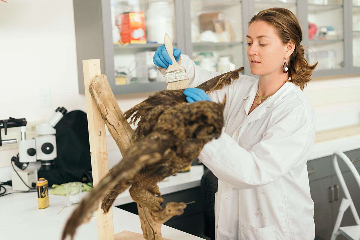 conservation-laboratory-kelowna-museums