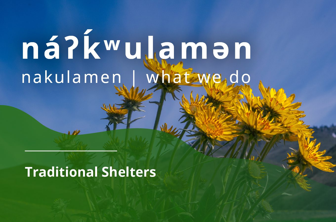 na̓ʔk̓ʷulamən (what we do): Traditional Shelters
