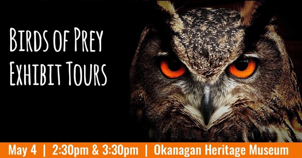 Birds of Prey Exhibit Tours BOPExhibitTours 1024x536 BOPExhibitTours 1024x536 Birds of Prey Exhibit Tours