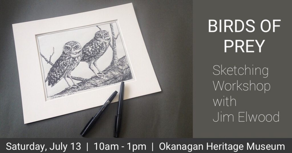 Birds of Prey Sketching Workshop Sketch 1200x628 1024x536 Sketch 1200x628 1024x536 Birds of Prey Sketching Workshop