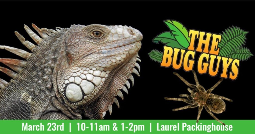 Kelowna Museums presents the Bug Guys TheBugGuys 1024x538 TheBugGuys 1024x538 Kelowna Museums presents the Bug Guys