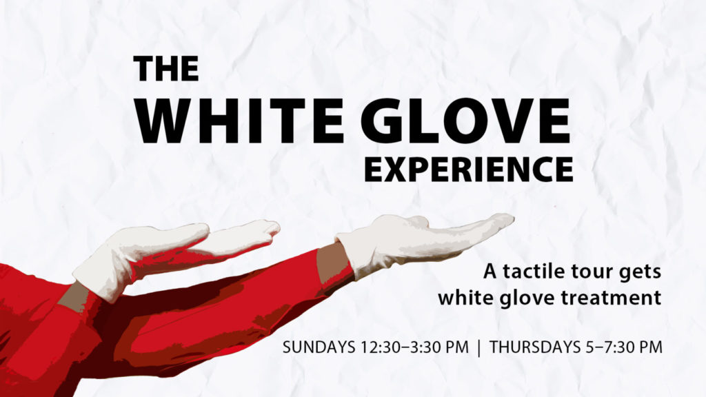 The White Glove Experience: Mammal Skulls White Glove Experience Facebook Event 1024x576 White Glove Experience Facebook Event 1024x576 The White Glove Experience: Mammal Skulls