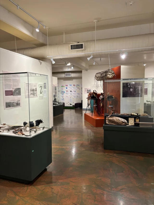 If you're out and about the Kelowna Cultural District and looking for a way to escape the heat, come and cool down at the Okanagan Heritage Museum. Stop by and check out 'Ranching & Rodeos in the Okanagan,' our newest exhibition!
.
.
.
#MuseumFun #DowntownKelowna #KelownaBC #KelownaMuseums #ExploreKelowna #YLW #TourismKelowna #ThingsToDoInKelowna