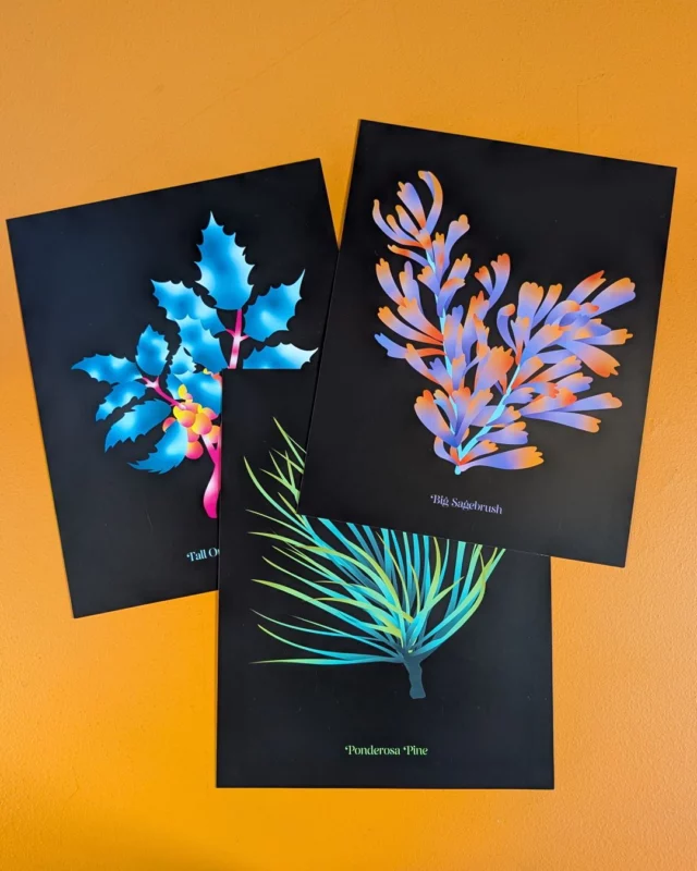 Our gift shop got a glow-up! ✨ We're so excited about our newest addition: eight digital prints by local artist @moozhans_art. They feature the indigenous plants you can see on the art panels at the Okanagan Heritage Museum entrance. Our staff is having a hard
time picking a favourite! Which one would you choose?

Come find your favourite print in our gift shop, open during regular museum hours. 
.
.
.
#LocalArt #LocalArtist #ArtLovers #Artist #Art #Flora #IndigenousPlants #KelownaMuseums #DowntownKelowna #Kelowna