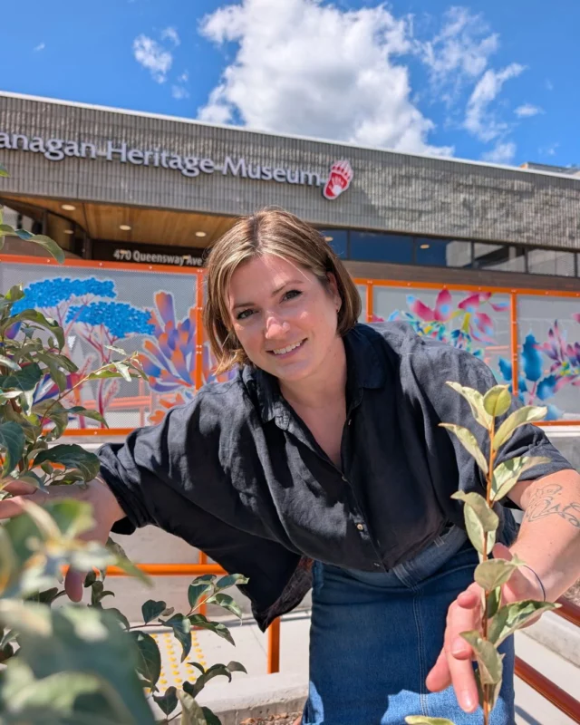 Jillian joined us in January of 2024 and is the guiding hand behind Kelowna Museums. Working closely with our Board of Directors, she helps define and implement the strategic vision for all our museums. While she focuses on big-picture goals—like securing new funding, growing the Laurel Packinghouse's potential, and strengthening our bonds with neighbours in the Cultural District—her day-to-day role is all about making sure the team is happy, healthy, and that the "ship" runs smoothly.
 
For Jillian, the most rewarding part of her job is "facilitating the success of others and watching them flourish as they gain new skills and their confidence grows."
 
Her office is based at the Okanagan Heritage Museum, and she loves watching intergenerational learning take place among visiting families. "I’m especially fond of seeing kids take the lead, pointing out their favourite things they learned during a school visit," she says. "This fuels my belief that museums are essential for building empathetic, kind, and resilient communities."
 
The next time you’re visiting the Okanagan Heritage Museum, keep an eye out for Jillian—and be sure to say hello!
 .
.
.
#MeetTheTeam #MuseumDirector #MuseumWorkers #MuseumWork #BehindTheScenes #KelownaMuseums #BCMuseums