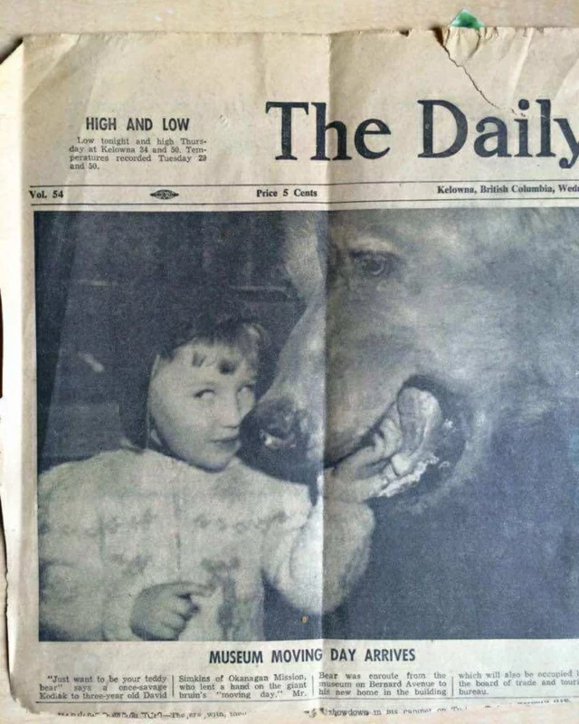 Check out this amazing throwback! A grandfather and his grandson are captured in two separate moments at the Okanagan Heritage Museum, one in 1957, the other in 2014. We love seeing our visitors share these incredible multi-generational memories with us.

Come create your own memories with us! 📸💖
.
.
.
#Memories #LookingBack #ThrowbackThursday #MuseumFun #KelownaMuseums #FamilyFun #DowntownKelowna #ExploreKelowna